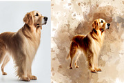 Personalized Digital Pet Portraits, an Action Add-On by MRI STUDIO (Thumbnail 8 of 13)