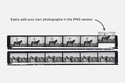 Negative Film Strips Contact Sheet, an Object Graphic by MelanthaGraphics (Thumbnail 3 of 4)