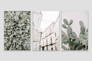 Lifestyle Bundles Collection 2, a Beauty & Fashion Photo by Floral Deco (Thumbnail 8 of 66)