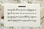 Mercyst Archangell Handwritten, a Font by gracetype_studio (Thumbnail 11 of 12)