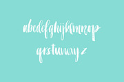 Brushy Mini font, a Handwritten Font by Molly Jacques (Thumbnail 2 of 3)