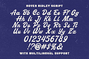 Hover Ridley Retro Font Duo, a Script Font by Letterhend Studio (Thumbnail 10 of 11)