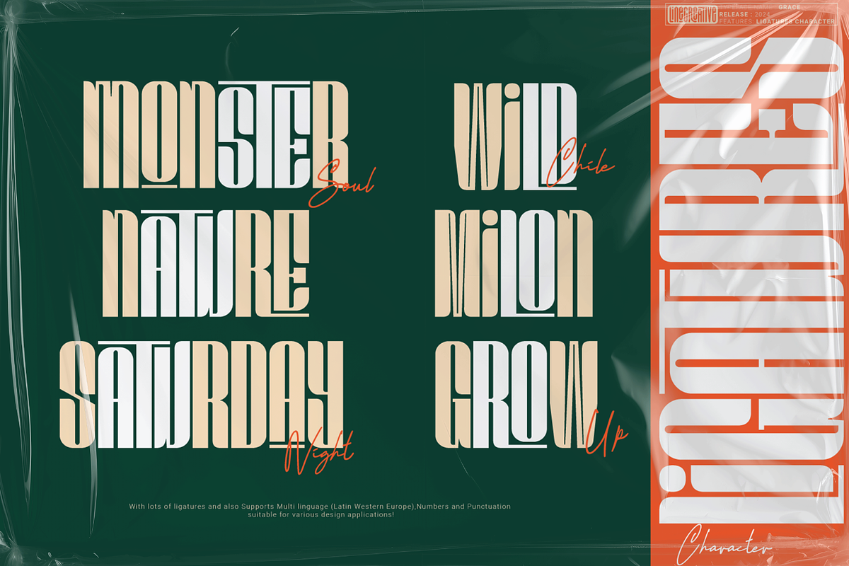 Grace, a Sans Serif Font by Linecreative (Photo 4 of 8)