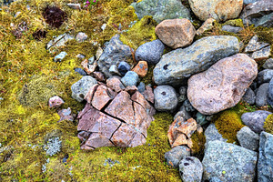 Stones and moss in South Iceland, a Nature Photo by Leonid Andronov