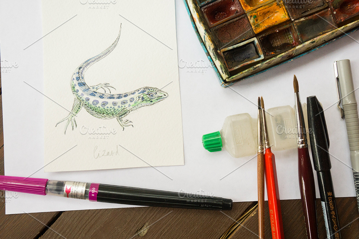 Watercolor zoo animals vector set, an Animal Illustration by miminoshka (Photo 6 of 9)
