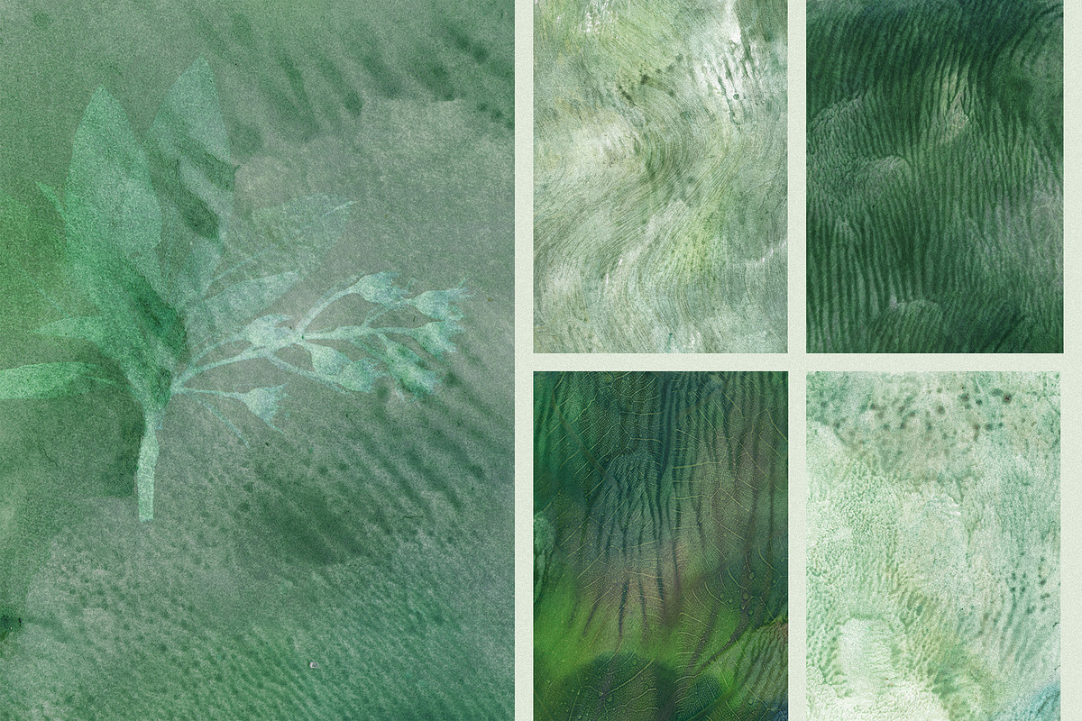 Organic Macro Botanical Textures, a Texture Graphic by Elena Pimonova (Photo 12 of 13)