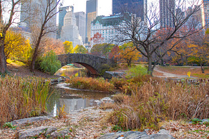 Autumn Gapstow Bridge with Manhattan skyscrapers skyline in Cent, a Photo by Pictures for you!!!!!!!!!