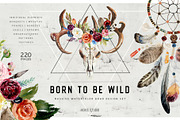 Watercolor Boho Wild Floral Set, a Decorative Illustration by Veris Studio (Thumbnail 1 of 16)