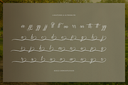 Narottewla | Beauty Callighraphy, a Script Font by Denustudios (Thumbnail 12 of 12)