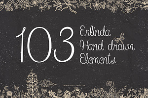 103 Erlinda Hand Drawn Elements