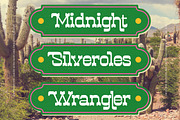 Westkind - Modern Western Slab Serif, a Slab Serif Font by timelesstype.co (Thumbnail 8 of 20)
