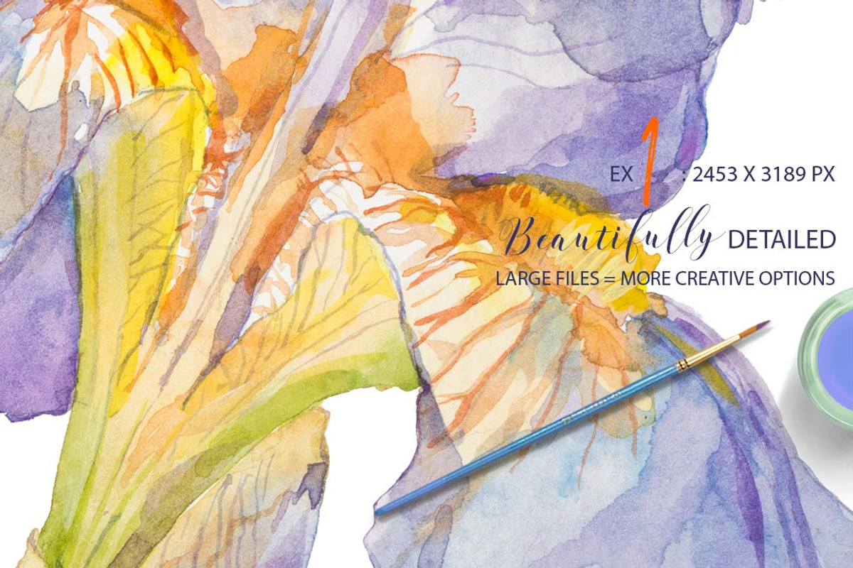TheArtsyIrisCollection-Clipart, an Illustration by watercolorwild.graphics (Photo 4 of 13)