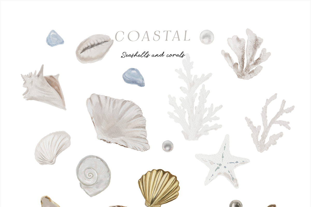 Coastal hand-painted watercolor, a Decorative Illustration by Youksy (Photo 10 of 17)