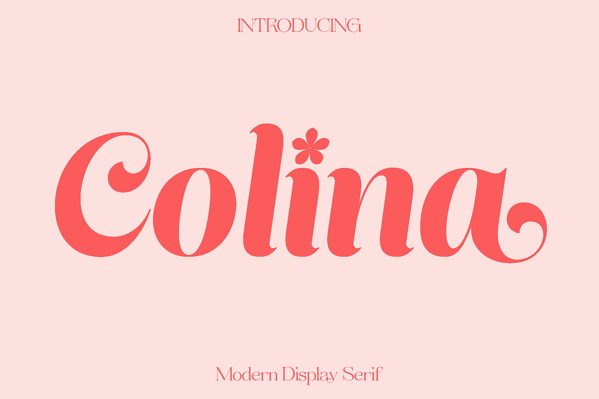 Colina - Modern Display Serif, a Serif Font by Luna Shop (Photo 1 of 7)