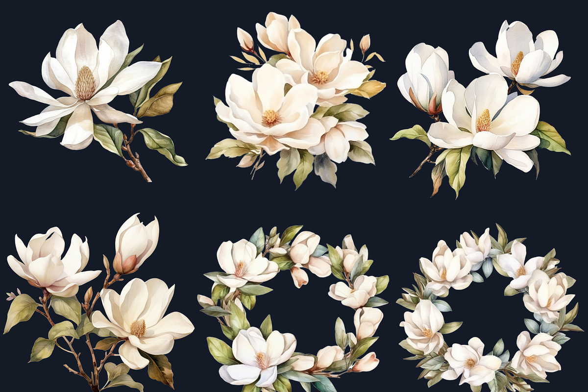 Watercolor Magnolia Flowers Set, a Decorative Illustration by GiraffeCreative (Photo 4 of 8)