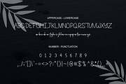 Dellcince - Font, a Script Font by artchiles_design (Thumbnail 4 of 5)
