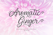 Aromatic Ginger, a Script Font by Java pep (Thumbnail 1 of 14)