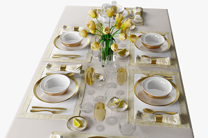 Table Setting 08