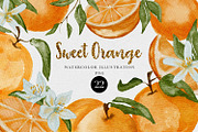 Watercolor Orange clipart PNG, a Decorative Illustration by LuiDesignStudio (Thumbnail 1 of 4)
