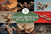 55 Luxury Driftwood Stock Photos, a Nature Photo by Incomelion (Thumbnail 1 of 12)