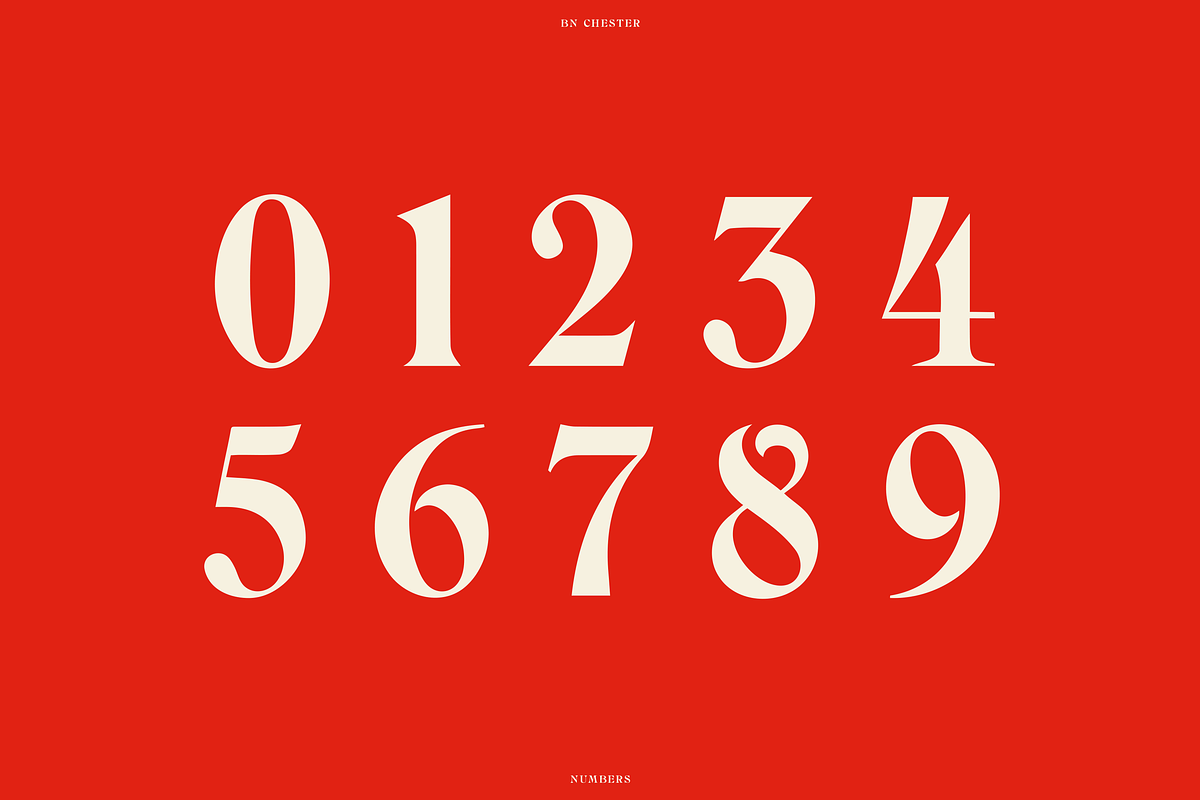 BN Chester - A Unique Serif Font, a Handwritten Font by Bnick (Photo 8 of 10)