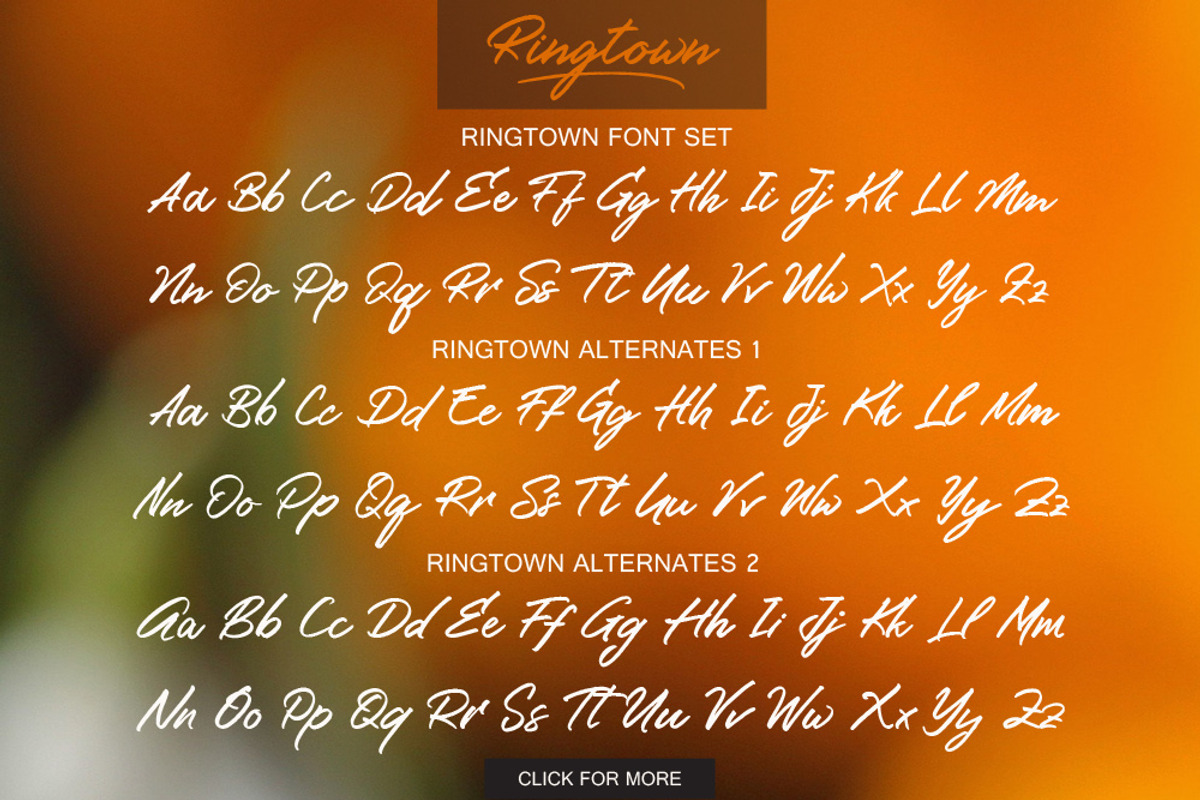 Ringtown Script preview 8