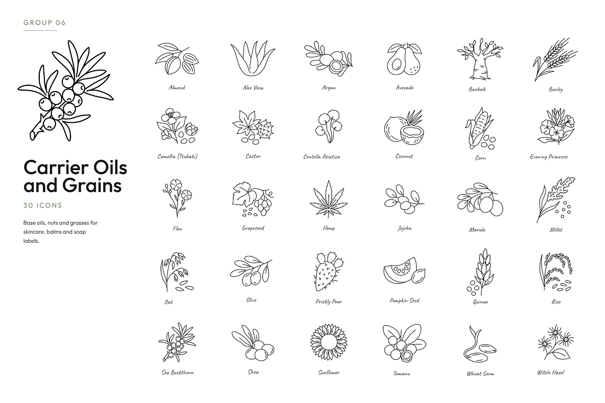 180 Botanical Ingredient Line Icons, an Outline Icon by Ilia Design (Photo 10 of 13)