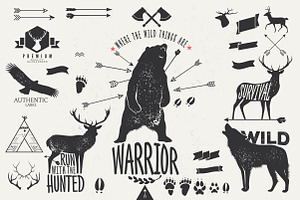 Hand Drawn Wild Animal Pack