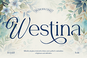 Westina, a Serif Font by Burntilldead (Thumbnail 1 of 12)