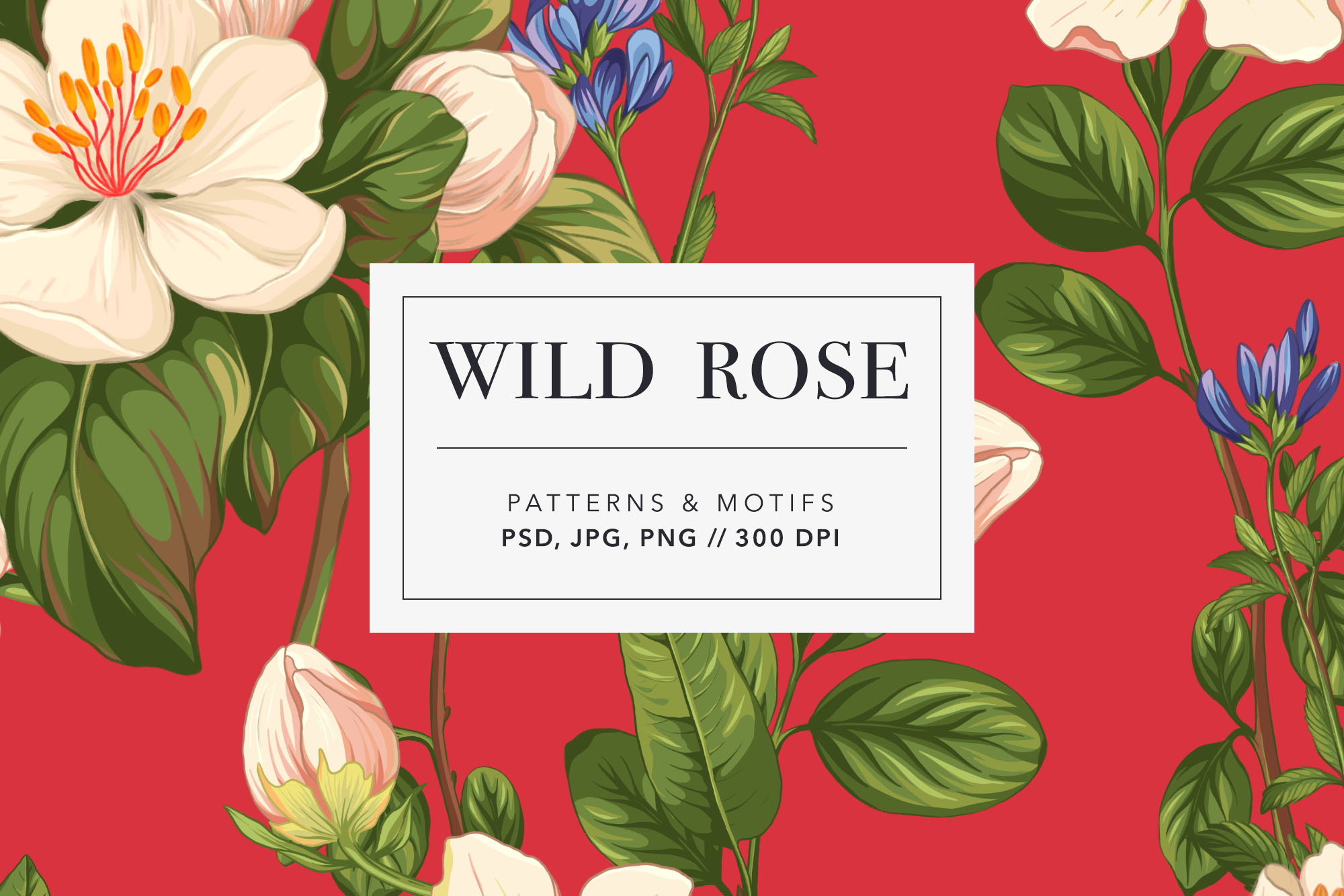 Wild Rose Patterns & Motifs. Botanic, a Pattern Graphic by likorbut