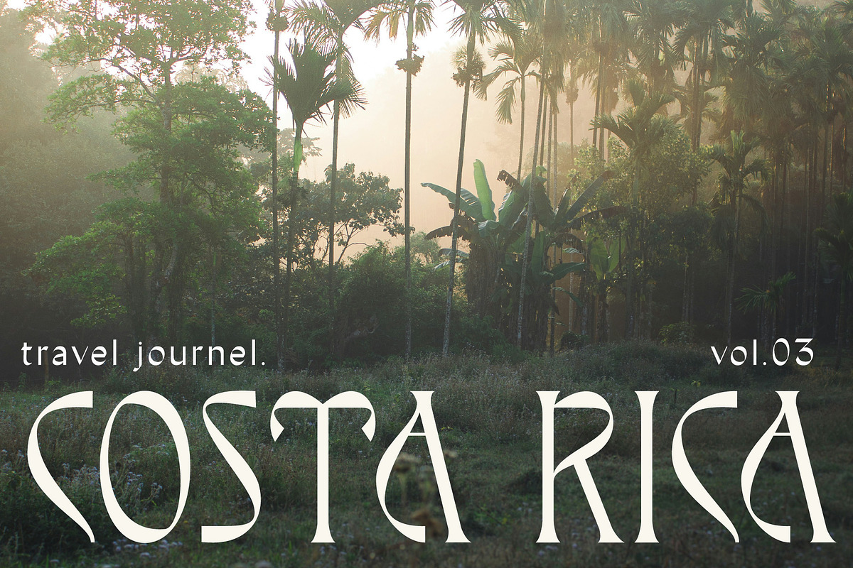 Elysium Display Font, a Serif Font by Tropical Type (Photo 10 of 13)