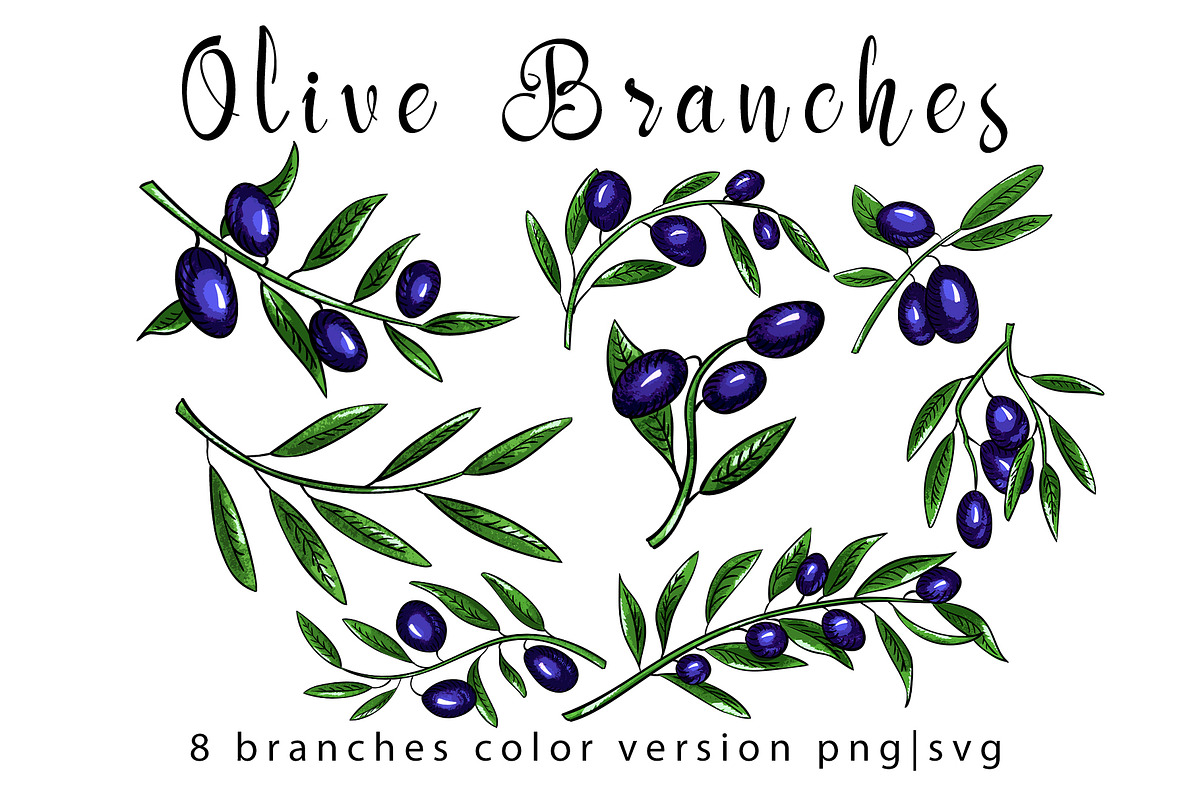 Olive branches set, an Illustration by Gennadi Digital Studio (Photo 3 of 5)