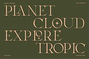 Laxura – Elegant Ligature Serif Font, a Serif Font by CCS Type (Thumbnail 13 of 16)
