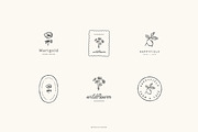 Botanical logos Vol. 4, a Branding & Logo Template by Crocus Paperi (Thumbnail 13 of 16)