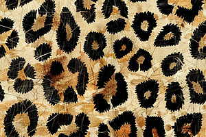 Leopard Skin Texture