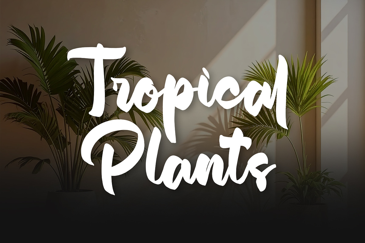 Delichatz - Bold Brush Script, a Script Font by Variatype (Photo 3 of 8)