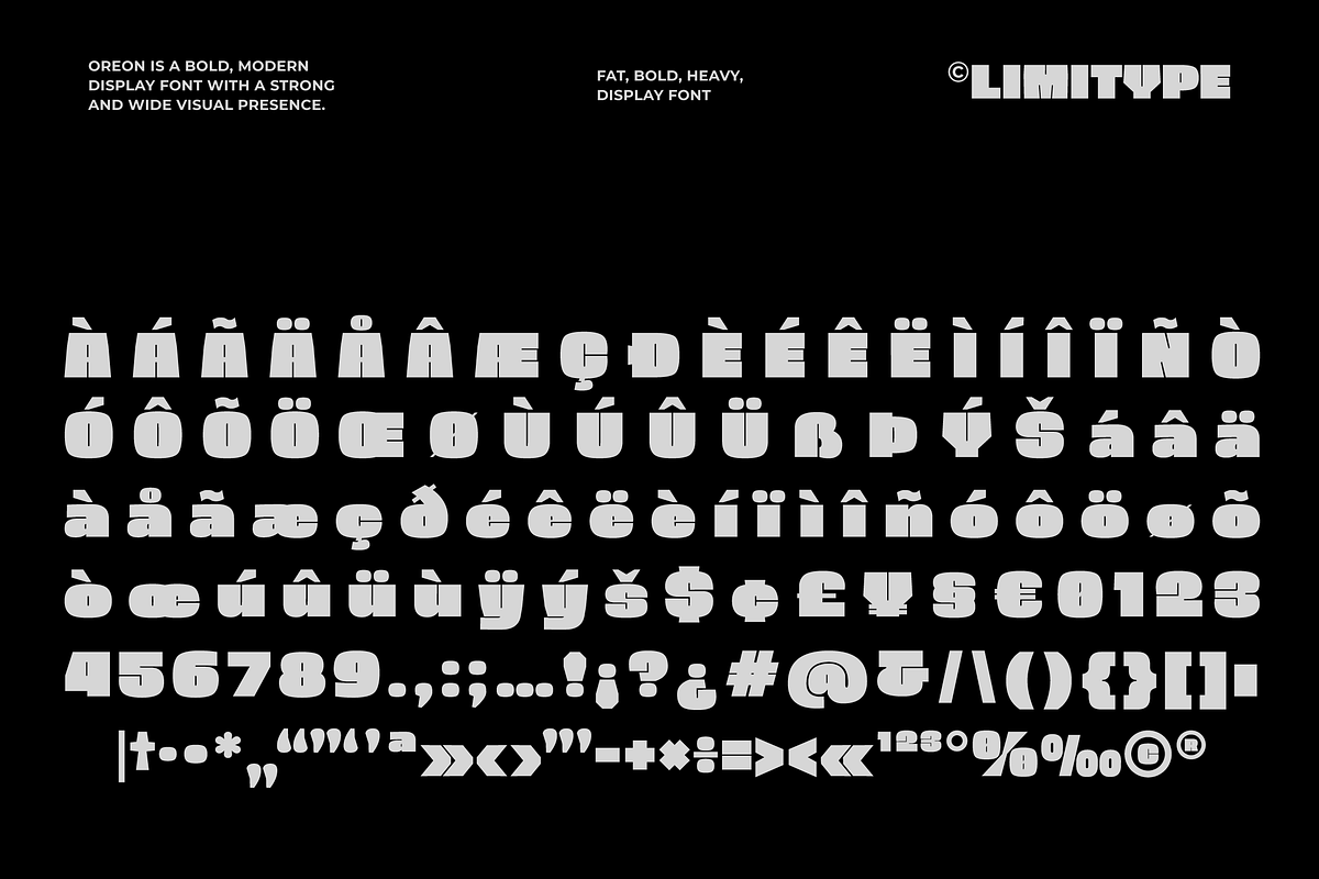 Oreon - Bold Font, a Sans Serif Font by limitype (Photo 14 of 15)