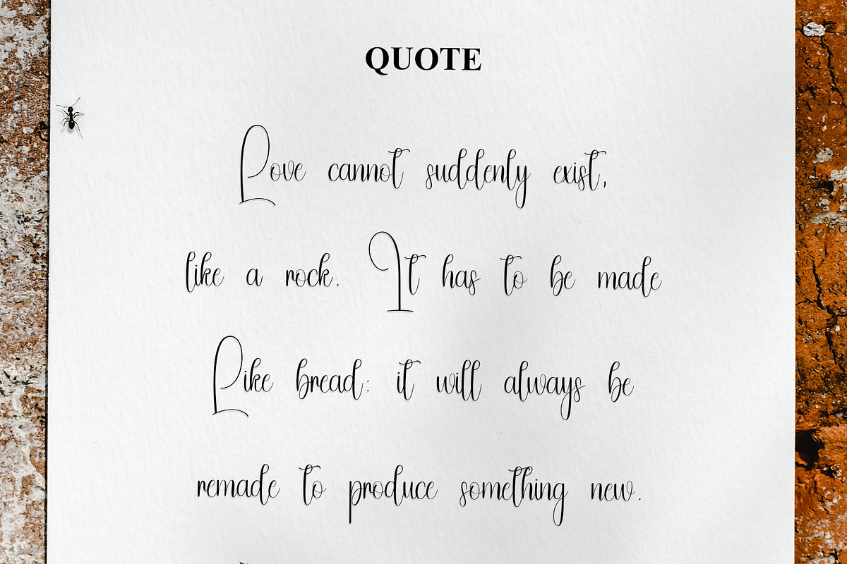 01 Special Sunday, a Sans Serif Font by InermediaSTUDIO (Photo 21 of 24)