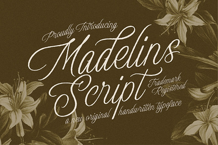 Madelins Script, a Script Font by Littlehand