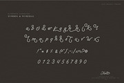 Thequilla - Monoline Script Font, a Script Font by Rometheme Std (Thumbnail 6 of 7)