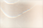 Neutral & Natural | 15 Dreamy Photos, an Abstract Photo by Melanie Helena (Thumbnail 9 of 16)