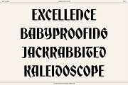 BN Tillman Gothic Display Typeface, a Serif Font by Bnick (Thumbnail 8 of 12)