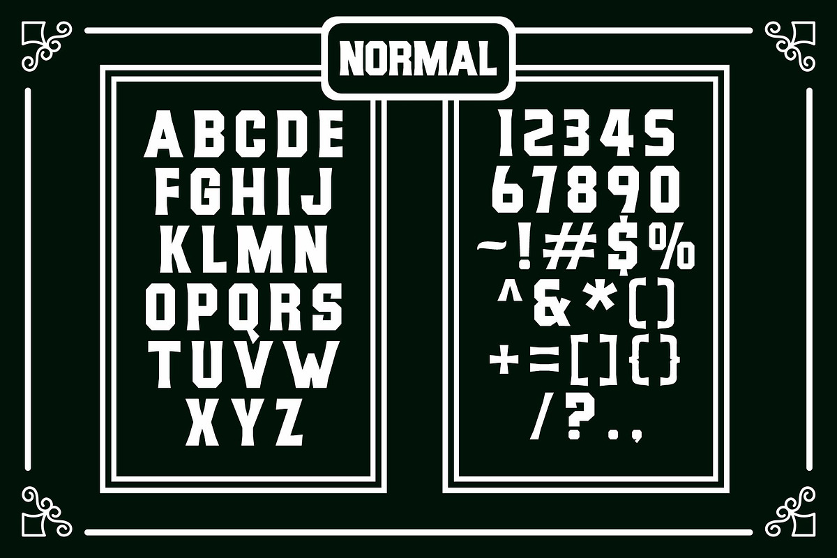 Balgika, a Serif Font by saskaratype (Photo 3 of 14)