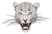 White LEOPARD, an Animal Illustration by Tanya Akhmett (Thumbnail 3 of 6)