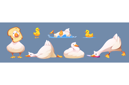 Cute goose or duck character set, an Animal Illustration by art PVP - market