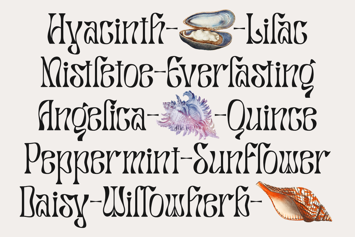 Salty Mussy - Quirky Twisted Display, a Sans Serif Font by Dharmas Foundry (Photo 3 of 15)