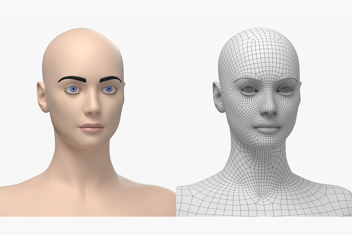 Natural Female 01 A-Pose Base Mesh, a Characters & Person 3D Model by VK Studio (Photo 12 of 26)