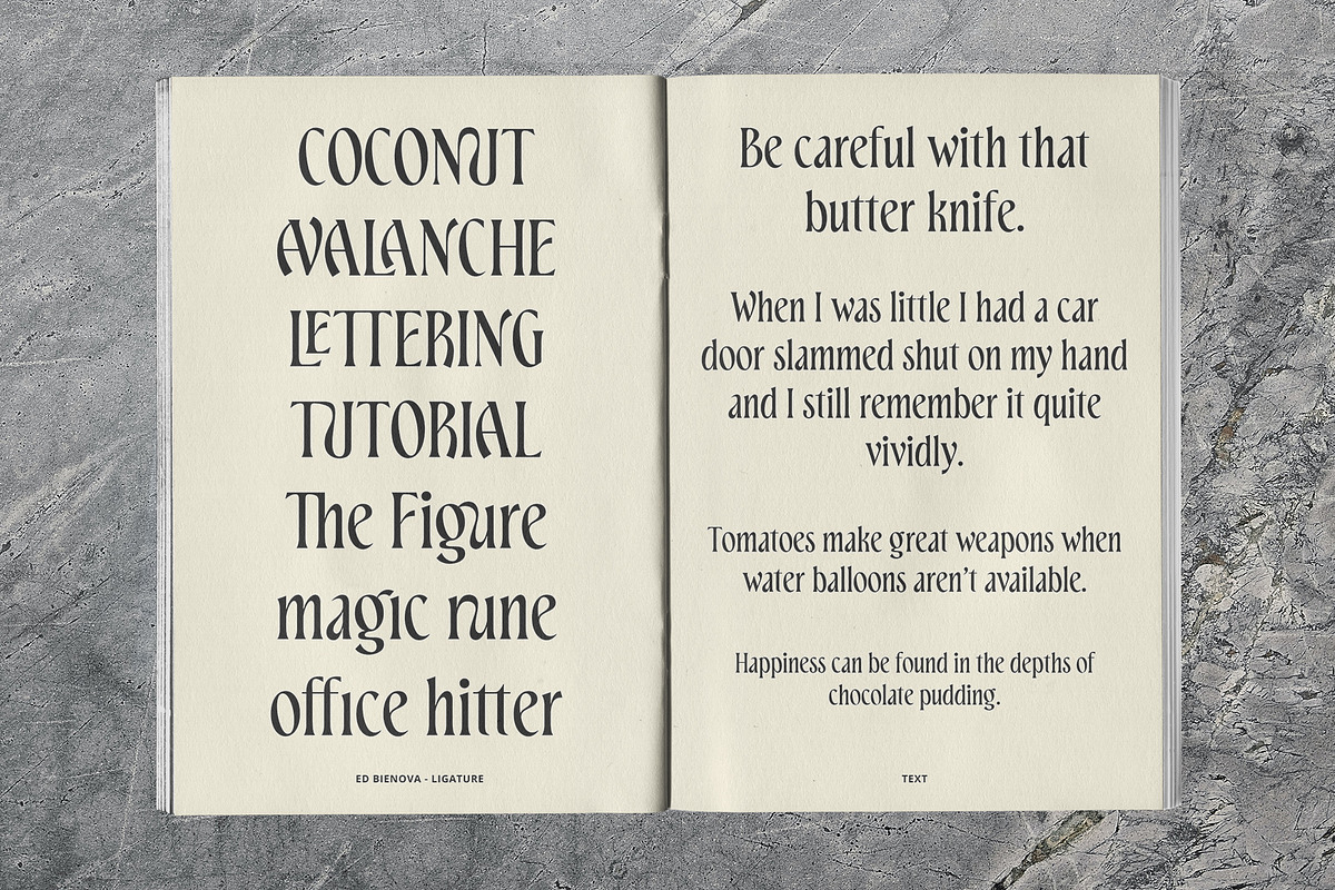 ED Bienova - Display Serif, a Serif Font by Emyself Design (Photo 6 of 12)