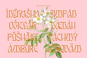 Awsirnam - Aesthetic Serif Font, a Serif Font by Enxyclo Studio (Thumbnail 28 of 29)