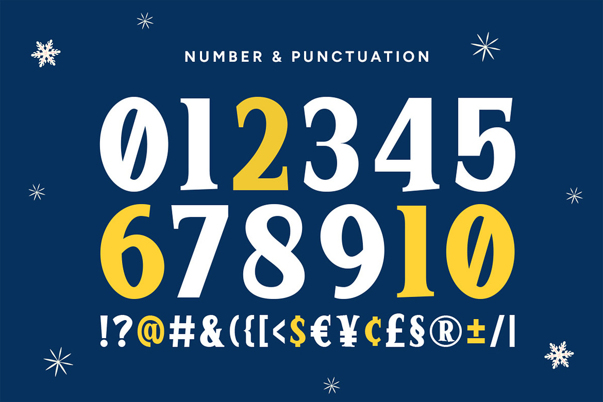 Winter Glyph - Christmas Font, a Serif Font by Pekotype (Photo 5 of 14)